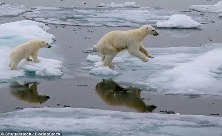Biến đổi khí hậu là một trong những mối đe dọa đối với Trái Đất. Ảnh: Shutterstock