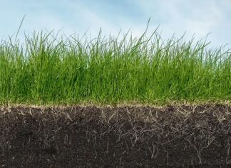 Canh tác carbon - Một trong những ưu tiên của chính sách nông nghiệp (Phần I)