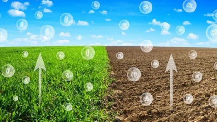 Canh tác carbon - Một trong những ưu tiên của chính sách nông nghiệp (Phần II)