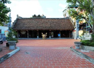 'Nghề học' quê tôi
