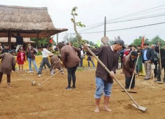 Làng rau Trà Quế đón nhận danh hiệu Di sản văn hóa phi vật thể cấp quốc gia