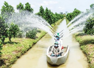 Hướng tới sản xuất nông nghiệp hiện đại Hướng tới sản xuất nông nghiệp hiện đại