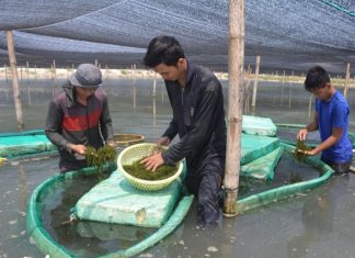 Kết nối vùng kinh tế trọng điểm miền Trung còn rời rạc, kém hiệu quả Kết nối vùng kinh tế trọng điểm miền Trung còn rời rạc, kém hiệu quả