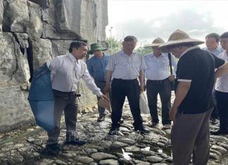 Sơ bộ kết quả khai quật đường Hoàng Gia nội thành di sản Thành nhà Hồ