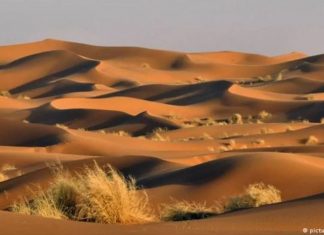 Dùng radar đo độ sâu sa mạc Sahara, các nhà khoa học phát hiện ra ‘thứ’ khổng lồ bên dưới Dùng radar đo độ sâu sa mạc Sahara, các nhà khoa học phát hiện ra 'thứ' khổng lồ bên dưới