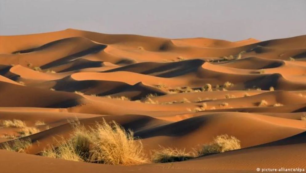 Dùng radar đo độ sâu sa mạc Sahara, các nhà khoa học phát hiện ra 'thứ' khổng lồ bên dưới Dùng radar đo độ sâu sa mạc Sahara, các nhà khoa học phát hiện ra 'thứ' khổng lồ bên dưới