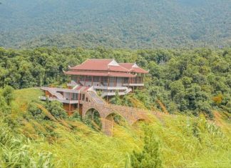 Sắp có quy định về chi trả dịch vụ hấp thụ và lưu giữ các-bon rừng