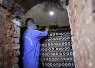 Đa lợi ích từ 'than sinh học'