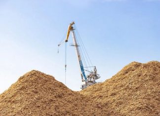 Thị trường tín chỉ Carbon: Doanh nghiệp đóng vai trò chủ thể