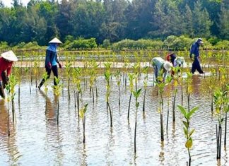 Việt Nam cam kết mạnh mẽ, hành động khẩn trương trong ứng phó biến đổi khí hậu