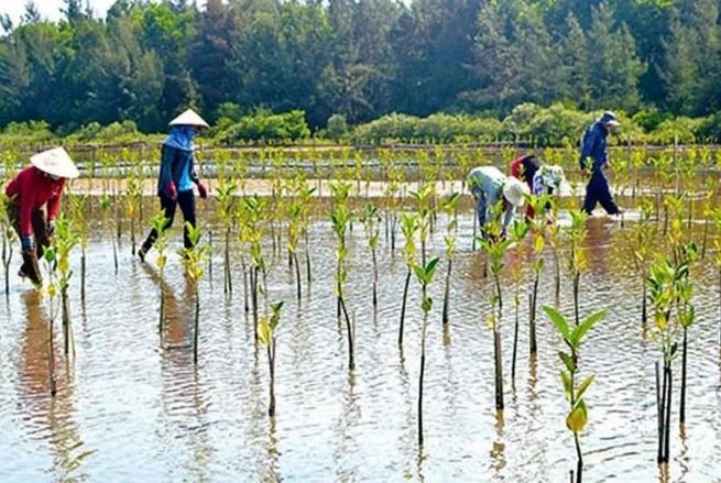 Việt Nam cam kết mạnh mẽ, hành động khẩn trương trong ứng phó biến đổi khí hậu