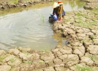 Ứng phó với biến đổi khí hậu, Việt Nam chọn phương thức 'một mũi tên trúng hai đích'