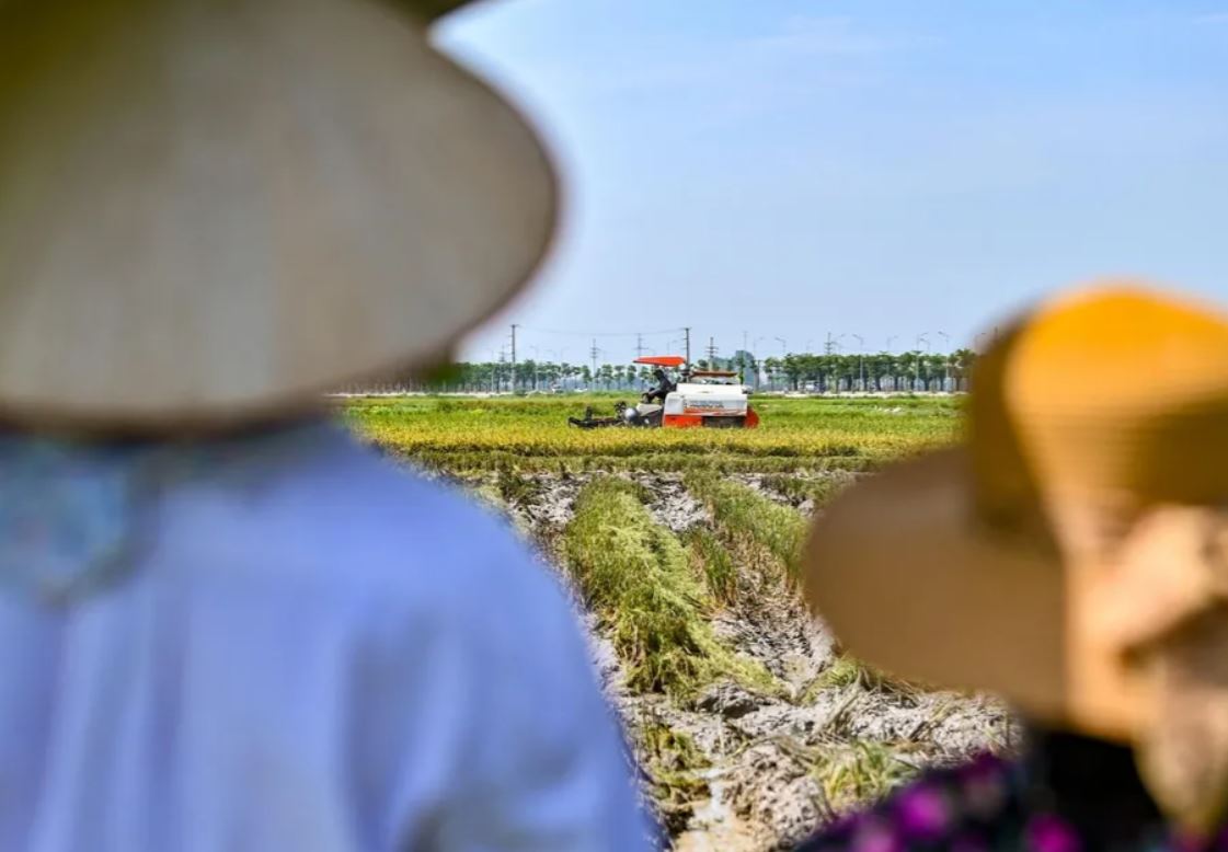 Xuat khau gao sang EU 4 thang dau nam da dat tren 30.000 tan min - EU muốn tăng cường thương mại nông sản với Việt Nam
