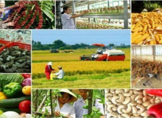 Nguồn lực của đất nước phải tiếp tục ưu tiên đầu tư cho nông nghiệp, nông dân, nông thôn Nguồn lực của đất nước phải tiếp tục ưu tiên đầu tư cho nông nghiệp, nông dân, nông thôn