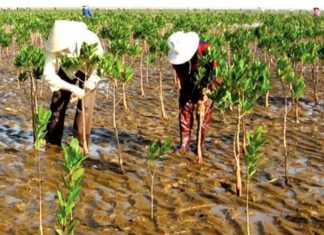 Bảo vệ môi trường nông thôn, nâng cao khả năng thích ứng với biến đổi khí hậu