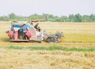 ĐBSCL đang đứng trước nhiều cơ hội lớn ĐBSCL đang đứng trước nhiều cơ hội lớn - VSD Địa Lý Việt Nam
