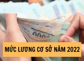 Mức lương cơ sở 2022 với công chức, viên chức là bao nhiêu? Chế độ tiền lương mới ra sao? Mức lương cơ sở 2022 với công chức, viên chức là bao nhiêu? Chế độ tiền lương mới ra sao?
