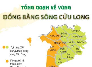 Những nét tổng quan về vùng Đồng bằng sông Cửu Long Những nét tổng quan về vùng Đồng bằng sông Cửu Long