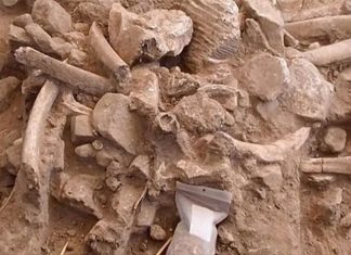 Phát hiện kinh ngạc tiết lộ về người tiền sử ở Bắc Mỹ