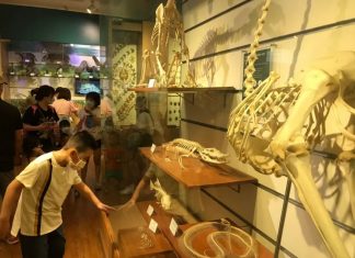 Phát huy vai trò của bảo tàng trong đời sống Phát huy vai trò của bảo tàng trong đời sống