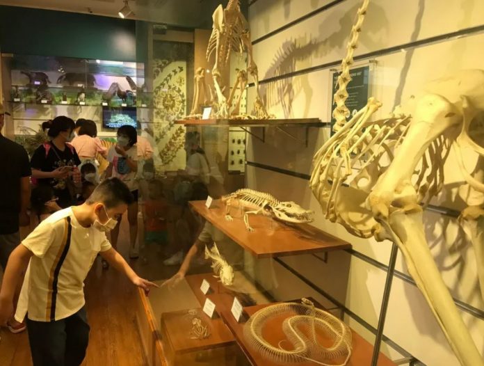 Phát huy vai trò của bảo tàng trong đời sống