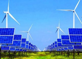 WB đề xuất 6 giải pháp giúp Việt Nam tăng trưởng xanh và phát triển bền vững
