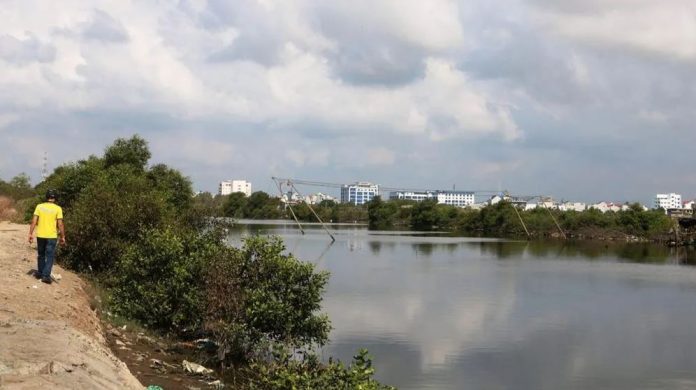 Bảo vệ khu rừng ngập mặn duy nhất giữa lòng TP Phan Thiết