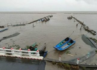 Cà Mau có hơn 82km bờ biển bị sạt lở cần bảo vệ