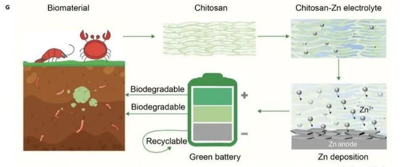 Cach chitosan duoc chuyen doi thanh pin va phan huy sinh hoc min - Pin làm từ vỏ cua có thể tái chế... 1000 lần