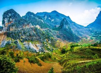Xu hướng mới trong việc giữ gìn và bảo tồn thiên nhiên
