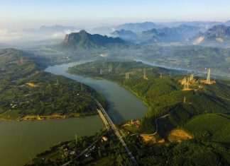 Cọ cá xanh nơi thượng nguồn Đại Giang Cọ cá xanh nơi thượng nguồn Đại Giang