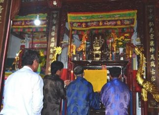 Đến Lý Sơn chiêm ngưỡng bộ xương cá Ông lớn nhất Đông Nam Á