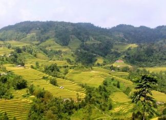 Thăm Hà Giang mùa lúa chín vàng, dự Lễ hội Gầu Tào kỳ bí và độc đáo của đồng bào dân tộc Mông Thăm Hà Giang mùa lúa chín vàng, dự Lễ hội Gầu Tào kỳ bí và độc đáo của đồng bào dân tộc Mông