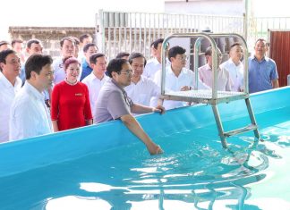 Thư cô giáo gửi Thủ tướng trước thềm năm học mới