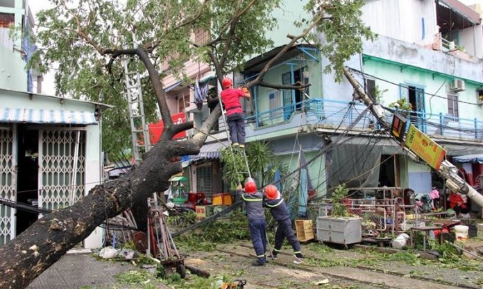 Bàn về cây xanh đô thị ở Đà Nẵng