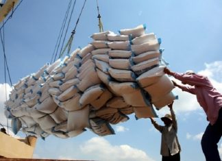 Xu thế hạn chế xuất khẩu lương thực và thuận lợi của doanh nghiệp Việt Nam