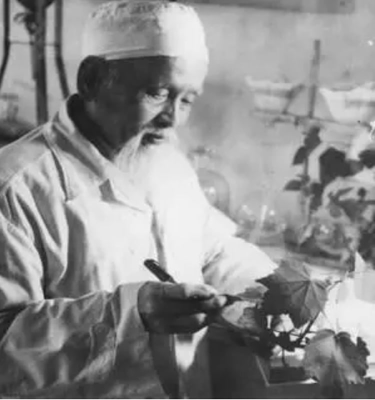 Chân dung lương y Phó Đức Thành