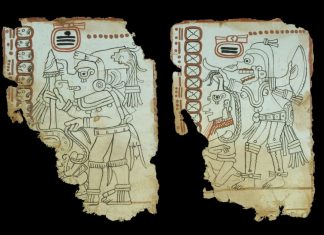 Trang 7 của cuốn "Códice Maya de México".