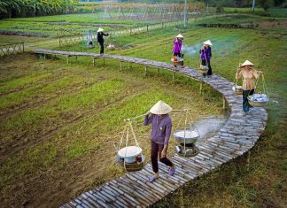 Đi tìm tinh hoa mỳ Quảng: Gánh theo tên đất, tên làng Đi tìm tinh hoa mỳ Quảng: Gánh theo tên đất, tên làng