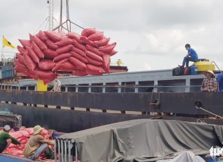 Gạo Việt vượt qua 'cái bóng' Thái Lan