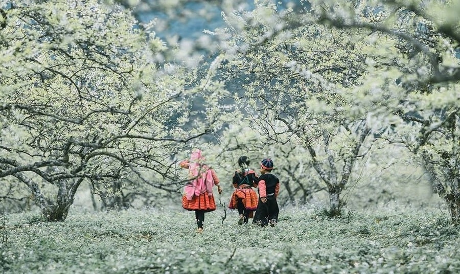 Mùa đông ở Việt Nam