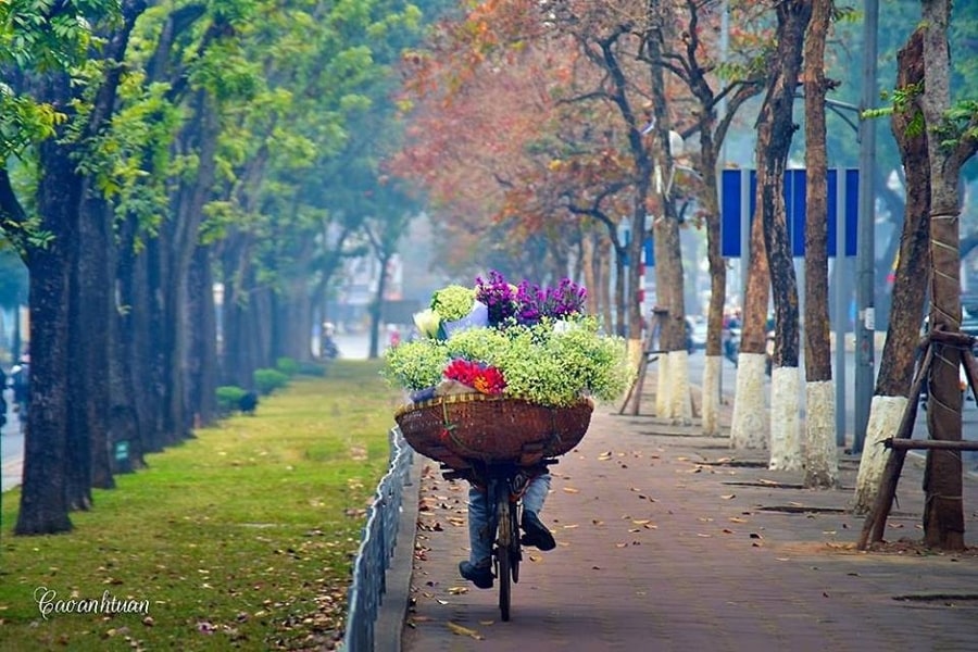 Mùa thu ở Việt Nam