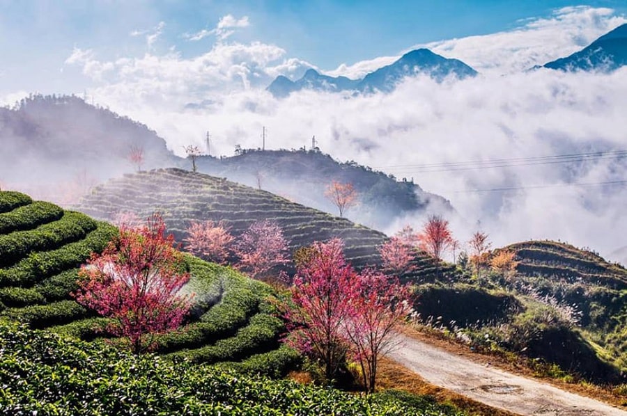 Mùa xuân ở Việt Nam
