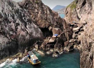 ‘Vàng trắng’ miền cù lao 'Vàng trắng' miền cù lao