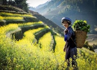 Sóng sánh mùa sang - Tản văn: Hà Kim Quy