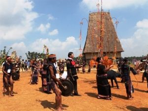 Tây Nguyên rất phù hợp với những cây công nghiệp như cà phê, ca cao, hồ tiêu, dâu tằm