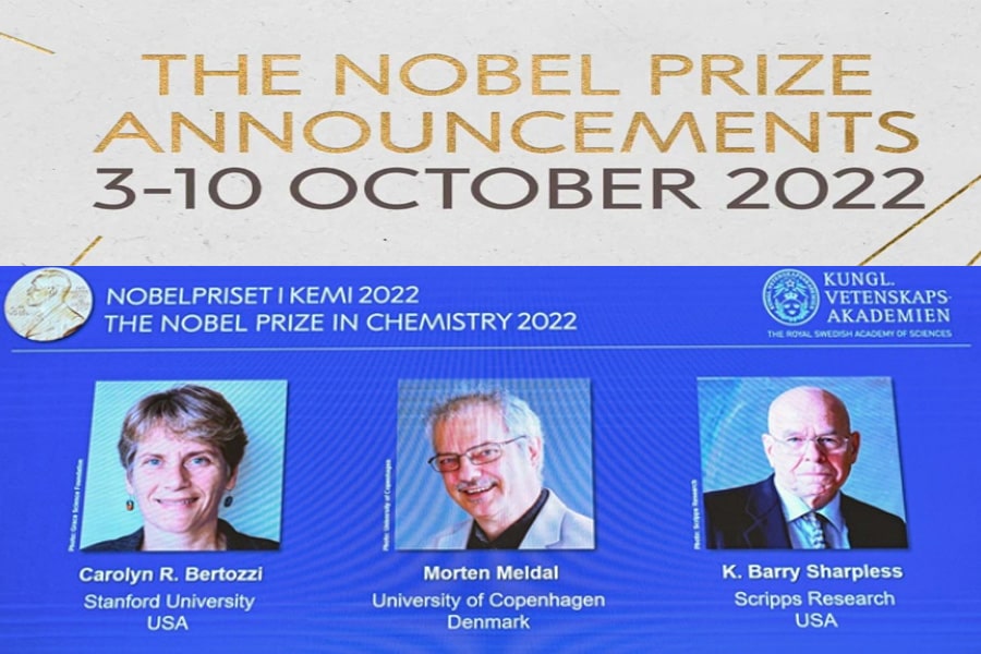 Thông cáo báo chí của Viện Hàn lâm Khoa học Hoàng gia Thụy Điển về Giải Nobel Hóa học năm 2022