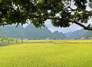 Thung lũng Bắc Sơn – Miền sơn cước bình yên Thung lũng Bắc Sơn - Miền sơn cước bình yên
