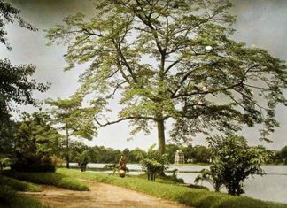 Trở về Hà Nội hơn 100 năm trước qua bộ ảnh màu quý hiếm