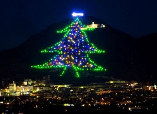 Cây thông Noel lớn nhất thế giới sắp được thắp sáng Cây thông Noel lớn nhất thế giới sắp được thắp sáng